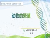 教科版三年级下册科学《动物的繁殖》教学课件