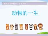 教科版三年级下册科学《动物的一生》教学课件