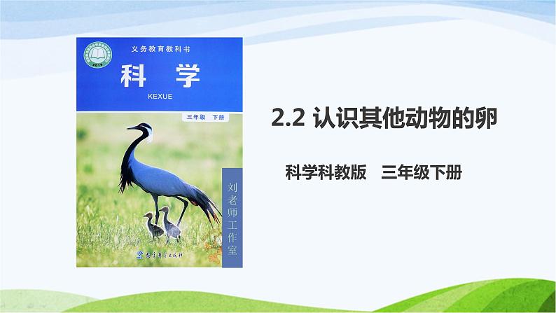 教科版三年级下册科学2.2 认识其他动物的卵（课件）第1页