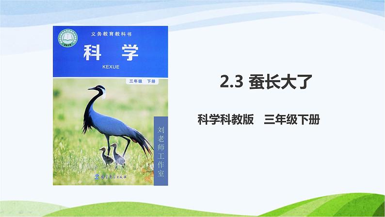 教科版三年级下册科学2.3 蚕长大了（课件）01