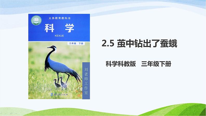 教科版三年级下册科学2.5 茧中钻出了蚕蛾（课件）01