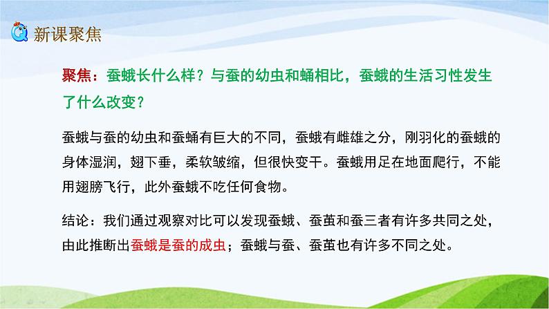 教科版三年级下册科学2.5 茧中钻出了蚕蛾（课件）03