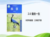 教科版三年级下册科学2.6 蚕的一生（课件）