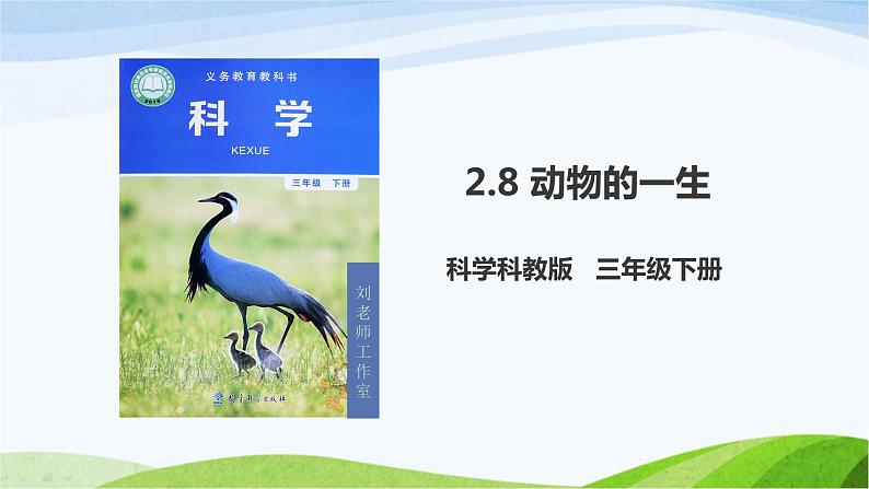 教科版三年级下册科学2.8 动物的一生（课件）01