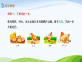 教科版三年级下册科学2.8 动物的一生（课件）
