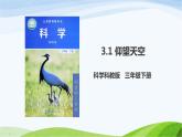 教科版三年级下册科学3.1 仰望天空（课件）