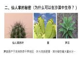 奇妙的植物课件