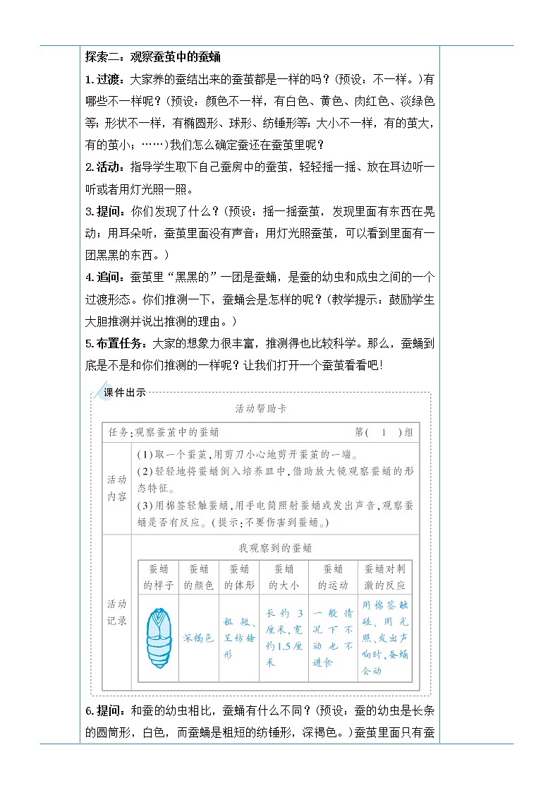 教科版三年级下册科学第二单元动物的一生《第4课 蚕变了新模样》教案03