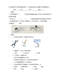 小学科学1.校园生物大搜索精品课时练习