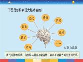 2017蘇教版五年級(jí)上冊(cè)《大腦的開(kāi)發(fā)與利用》課件PPT