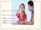 1.2 水沸腾了 课件