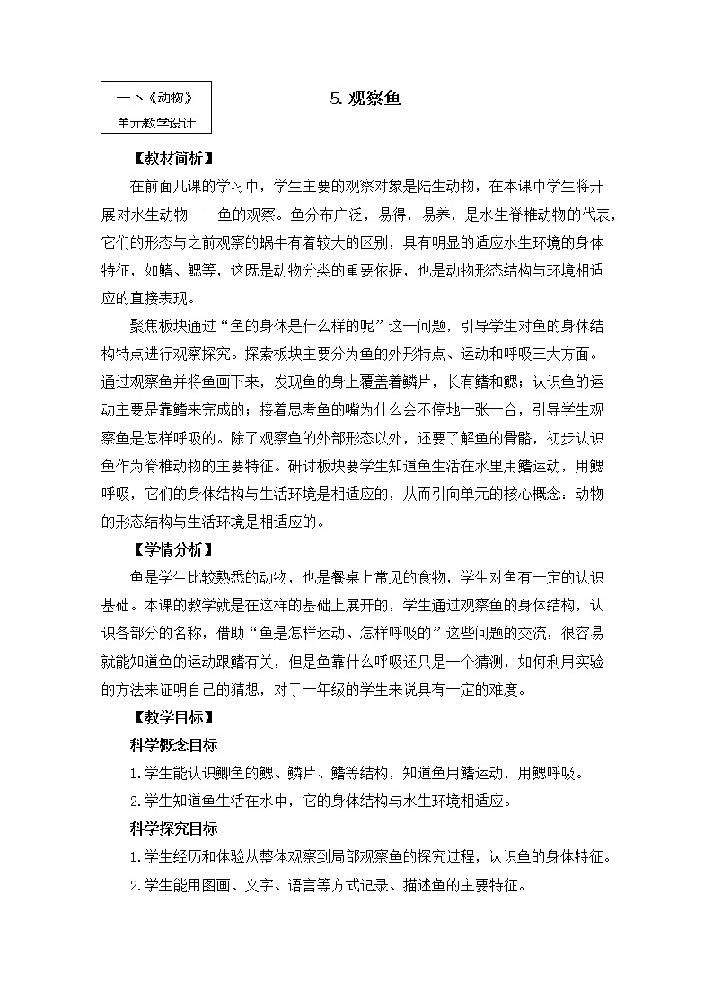 2-5《观察鱼》课件+教案 教科版小学科学一下01