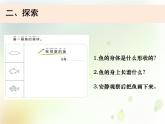 2-5《觀察魚》課件+教案 教科版小學(xué)科學(xué)一下