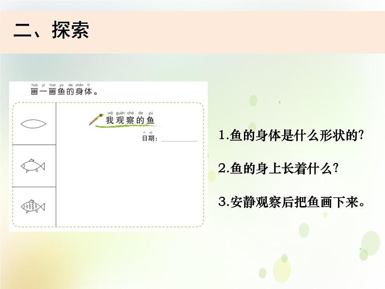 2-5《观察鱼》课件+教案 教科版小学科学一下03