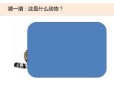 2-6《給動物分類》課件+教案 教科版小學科學一下