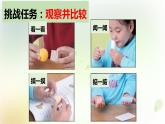 1-1 發(fā)現(xiàn)物體的特征 課件+教案 教科版小學(xué)科學(xué)一年級下冊