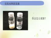 1-5 观察一瓶水 课件+教案 教科版小学科学一年级下册