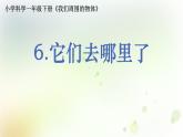 1-6 它們?nèi)ツ睦锪?課件+教案 教科版小學(xué)科學(xué)一年級(jí)下冊(cè)