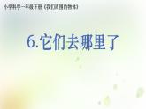 1-6 它们去哪里了 课件+教案 教科版小学科学一年级下册