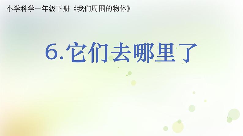 1-6 它们去哪里了 课件+教案 教科版小学科学一年级下册01