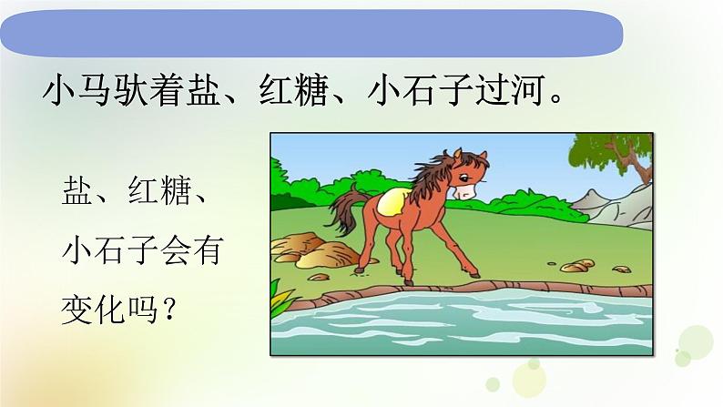 1-6 它们去哪里了 课件+教案 教科版小学科学一年级下册02