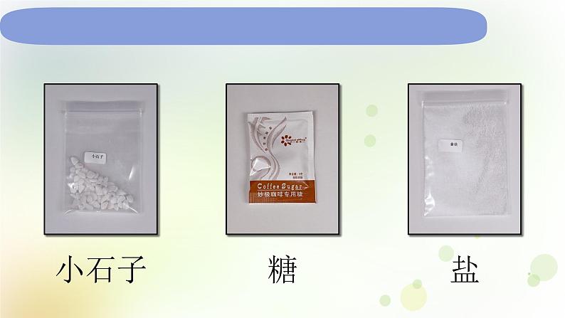 1-6 它们去哪里了 课件+教案 教科版小学科学一年级下册03