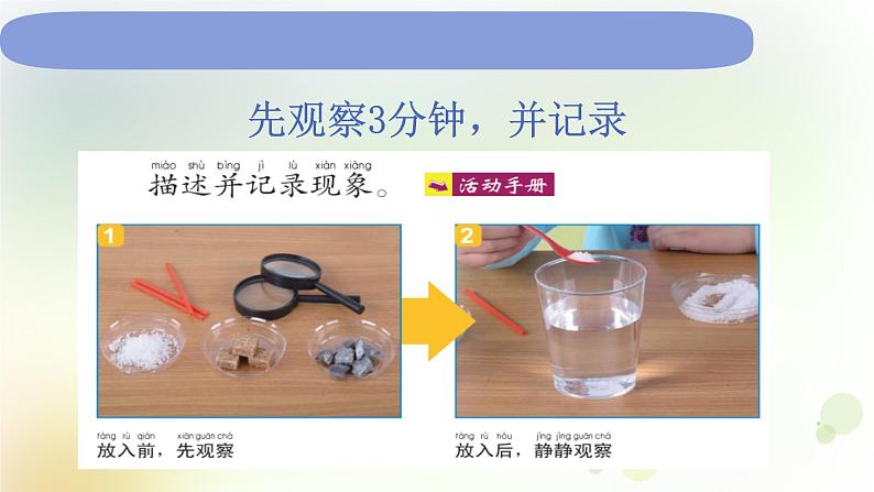 1-6 它们去哪里了 课件+教案 教科版小学科学一年级下册04