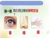 1-7 認(rèn)識一袋空氣 課件+教案 教科版小學(xué)科學(xué)一年級下冊