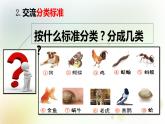 2-6 給動物分類 課件+教案 教科版小學科學一年級下冊
