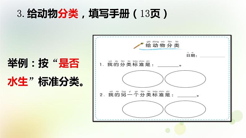 2-6 给动物分类 课件+教案 教科版小学科学一年级下册06