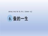小学科学教科版三年级下册第二单元第6课《蚕的一生》课件20（2020新版）