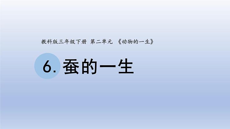 小学科学教科版三年级下册第二单元第6课《蚕的一生》课件20（2020新版）第1页