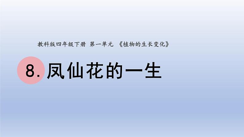 小学科学教科版四年级下册第一单元第8课《凤仙花的一生》课件20（2022新版）第1页