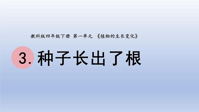 小学科学教科版四年级下册第一单元第3课《种子长出了根》课件20（2022新版）01