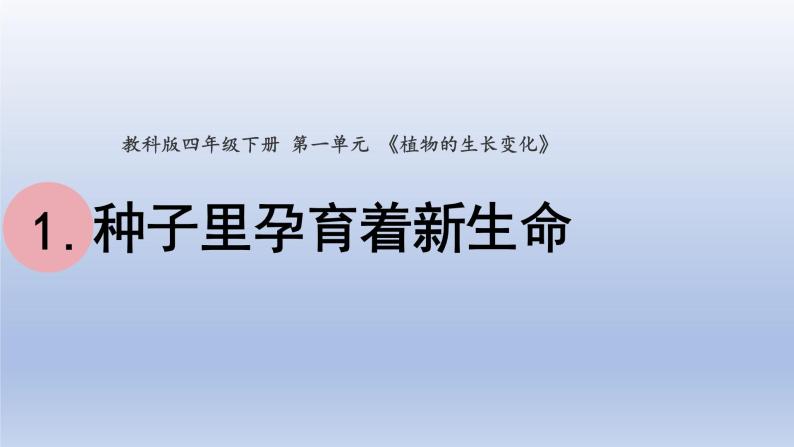 小学科学教科版四年级下册第一单元第1课《种子里孕育着新生命》课件20（2022新版）01