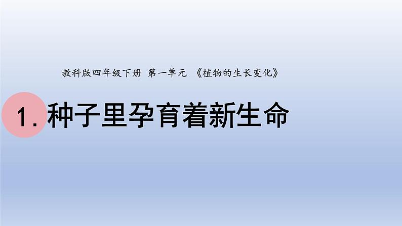 小学科学教科版四年级下册第一单元第1课《种子里孕育着新生命》课件20（2022新版）01