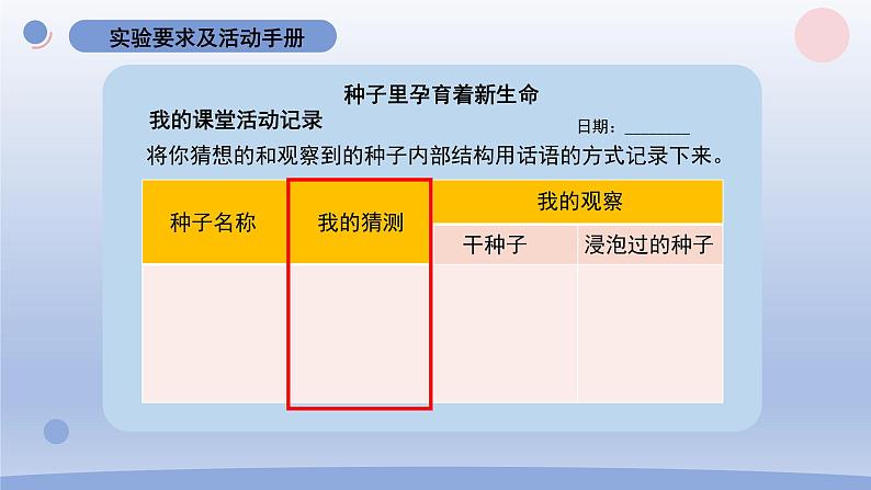 小学科学教科版四年级下册第一单元第1课《种子里孕育着新生命》课件20（2022新版）05