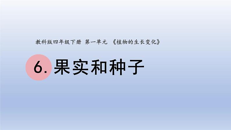 小学科学教科版四年级下册第一单元第6课《果实和种子》课件20（2022新版）01