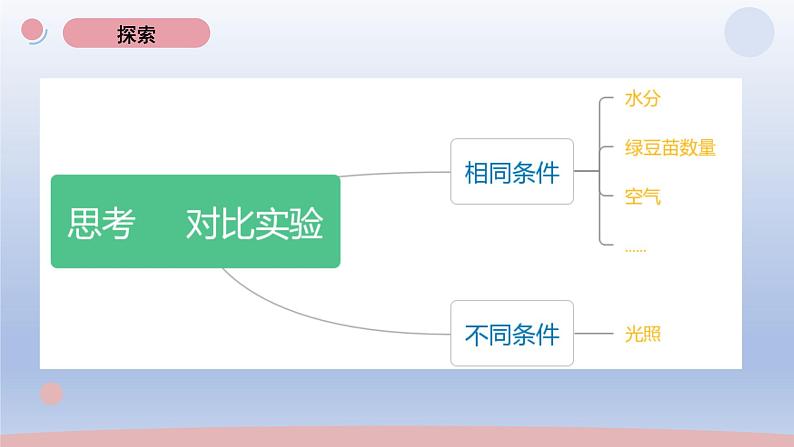 小学科学教科版五年级下册第一单元第3课《绿豆苗的生长》课件20（2022新版）第4页