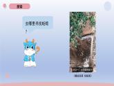 小学科学教科版五年级下册第一单元第4课《蚯蚓的选择》课件20（2022新版）