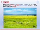 小学科学教科版五年级下册第一单元第7课《设计和制作生态瓶》课件20（2022新版）