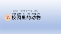 小学科学教科版 (2017)一年级下册2.校园里的动物集体备课课件ppt