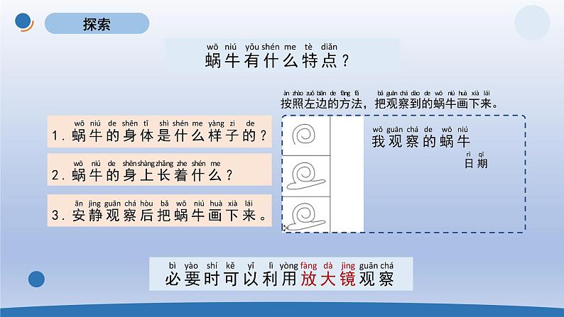 小学科学教科版一年级下册第二单元第3课《观察一种动物》课件2003
