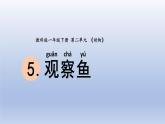 小学科学教科版一年级下册第二单元第5课《观察鱼》课件20