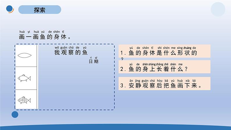 小学科学教科版一年级下册第二单元第5课《观察鱼》课件20第3页