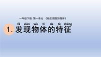 科学一年级下册1.发现物体的特征图文课件ppt