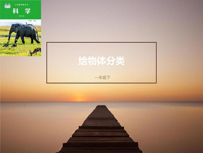 教科版科学一年级1.4《给物体分类》 课件PPT+教案01