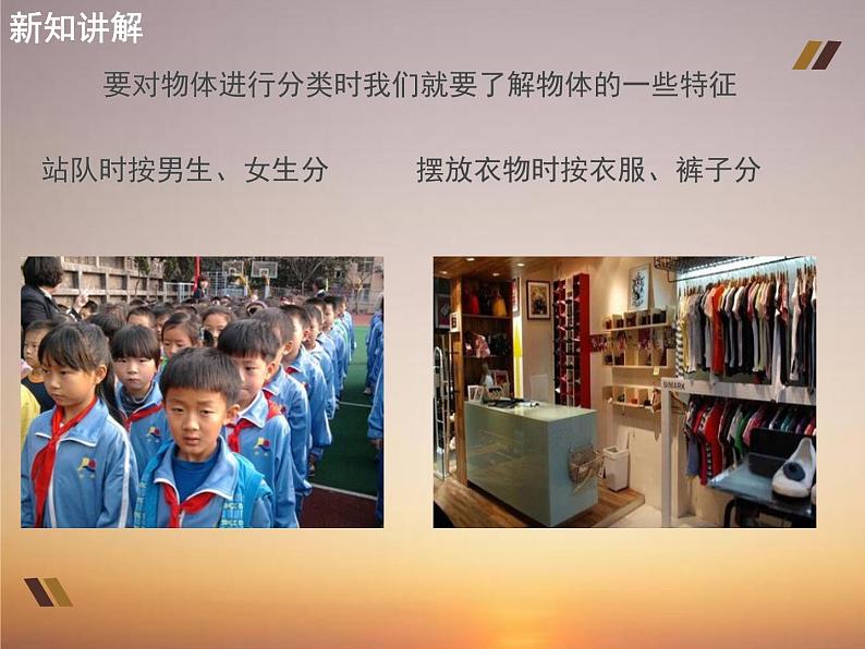 教科版科学一年级1.4《给物体分类》 课件PPT+教案07