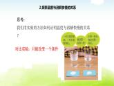 1-6.加快溶解课件PPT 教科版小学科学三年级上册