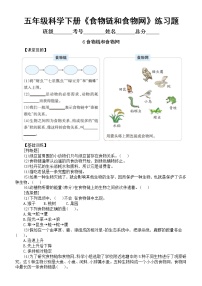 教科版 (2017)6.食物链和食物网达标测试